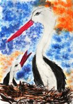 Sochuľáková Klára.jpg